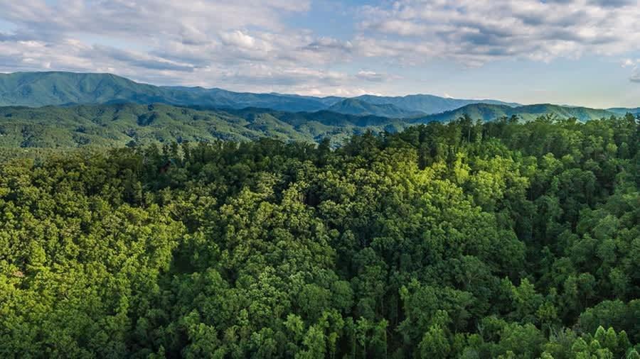 View! Private! Hot Tub,Pool Table,Fireplace,Relax! Sevierville Exteriér fotografie